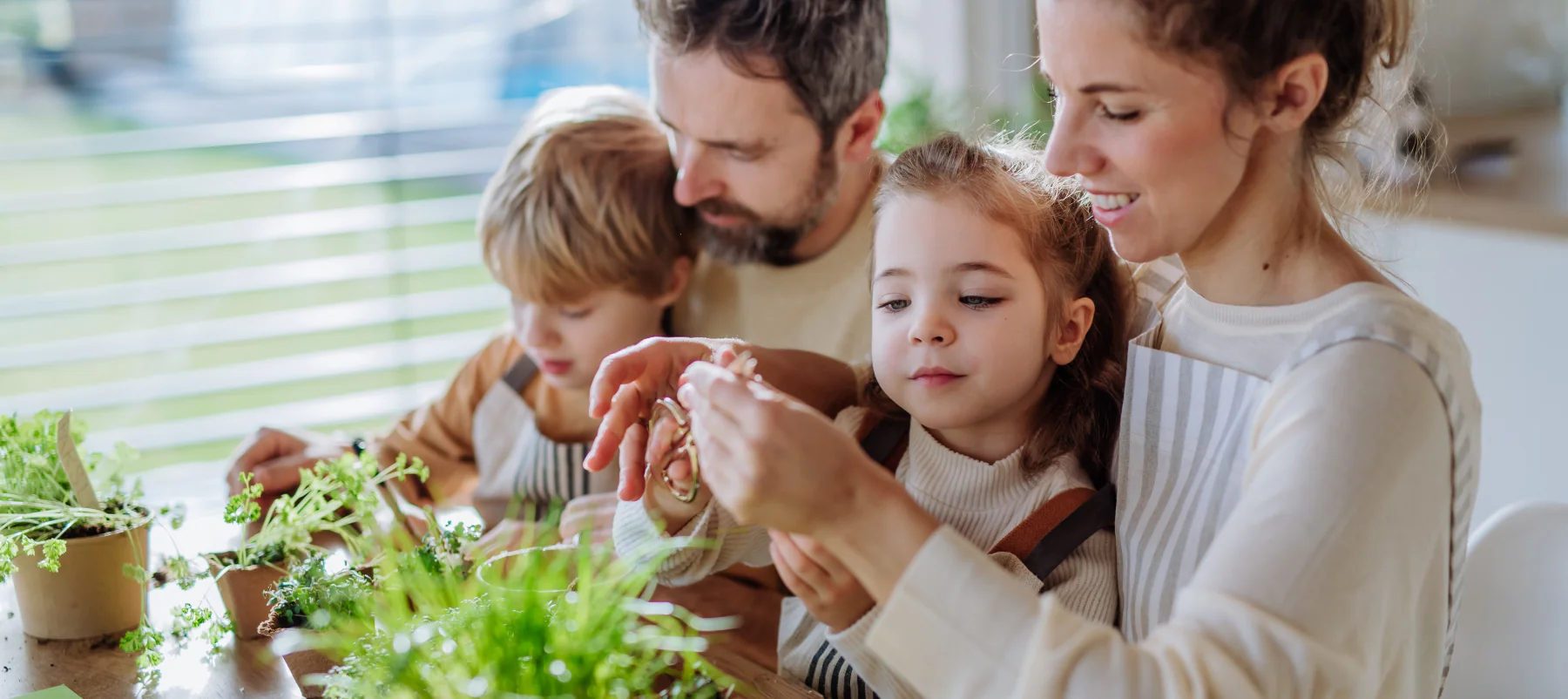 Mother's Day Herbal Collection